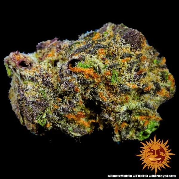 Barney_s-Farm-Runtz-Muffin-Feminized-Cannabis-Seed-Annibale-Seedshop-2