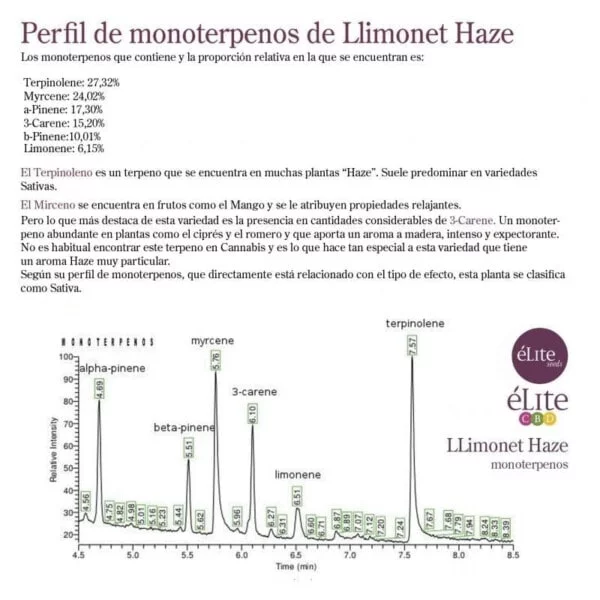 Llimonet Haze Classic CBD Feminized - Elite Seeds - Image 2