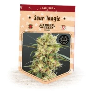 Garden-Of-Green-Sour-Tangie-Feminized-Cannabis-Seeds-Annibale-Seedshop