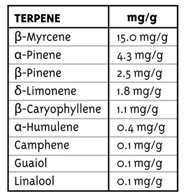 All Gas OG Femminizzata - Humboldt Seeds Company - immagine 5