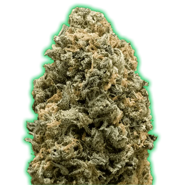 Monster-Genetics-Monster-Bruce-Banner-Feminized-Cannabis-Seeds-Annibale-Seedshop