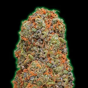 Monster-Genetics-Monster-Gelato-Feminized-Cannabis-Seeds-Annibale-Seedshop