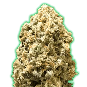 Monster-Genetics-Monster-Pebbles-Feminized-Cannabis-Seeds-Annibale-Seedshop