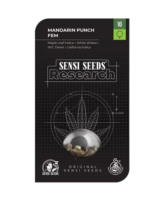 Sensi-Seeds-Research-Mandarine-Punch-Feminized-Cannabis-Seeds-Annibale-Seedshop