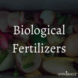 Organic Fertilizers