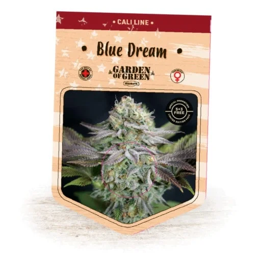 blue dream femminizzata garden of green