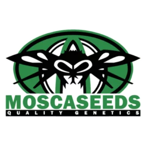 Mosca Seeds