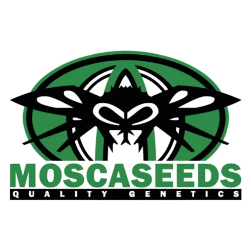 Mosca Seeds