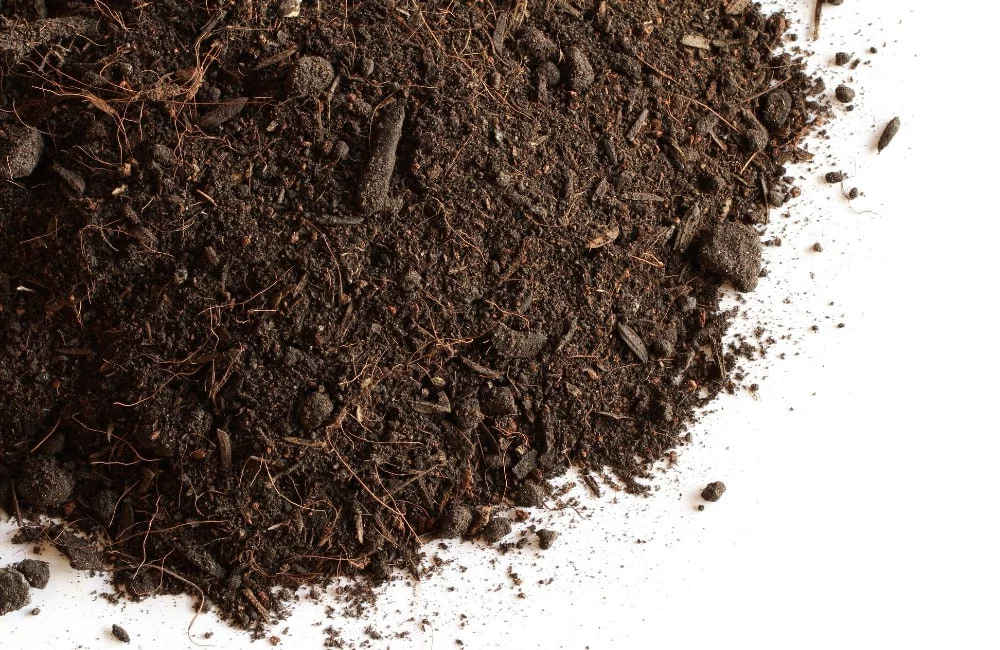 cannabis growing perfect substrate coco fiber
