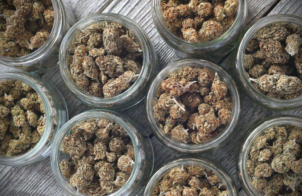 come conservare la cannabis