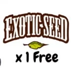 Exotic Seed Free Seeds 2023