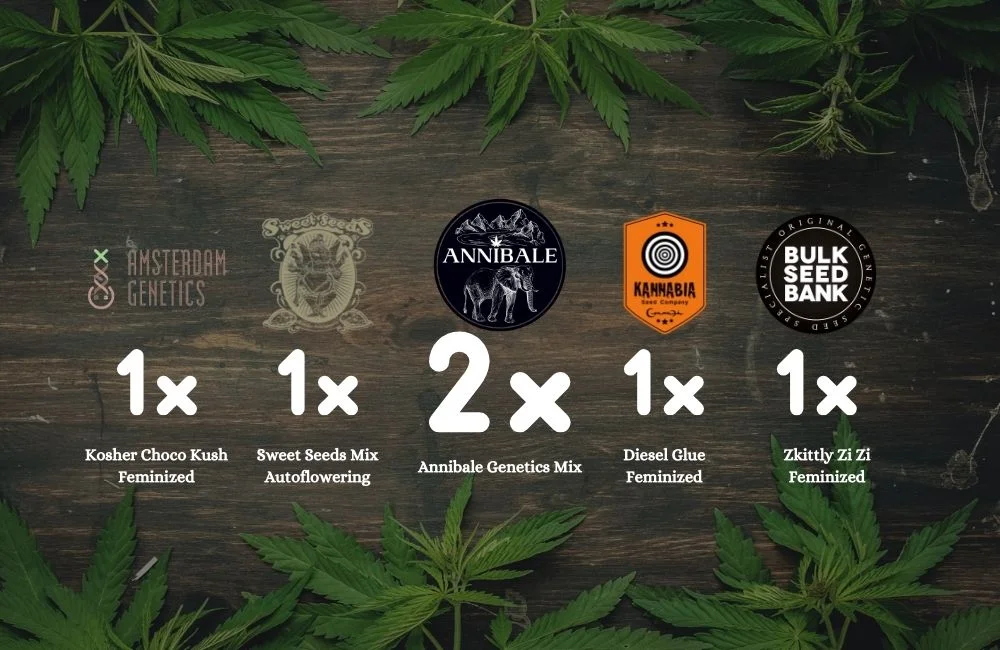 Free Cannabis seeds annibale seedshop 2022
