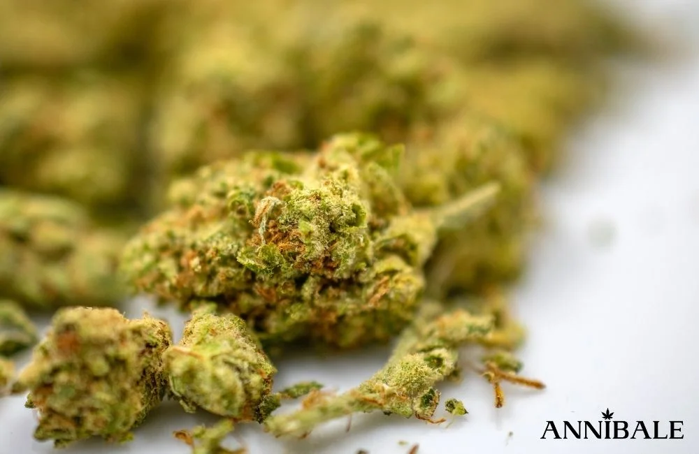 Effetti della Marijuana: Cannabis Sativa, Indica o Hashish? cannabis-effect-marijuana (1)