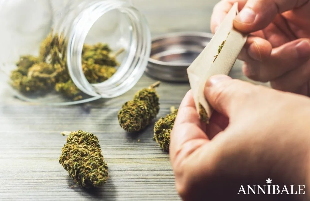Effetti della Marijuana: Cannabis Sativa, Indica o Hashish? smoking-fumare-marijuana-hashish