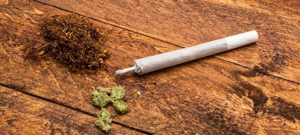 10 best coffee shop amsterdam 2026 rolled joint weed tobacco