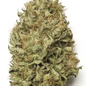 Blue Dream Autofiorente Humboldt Seeds