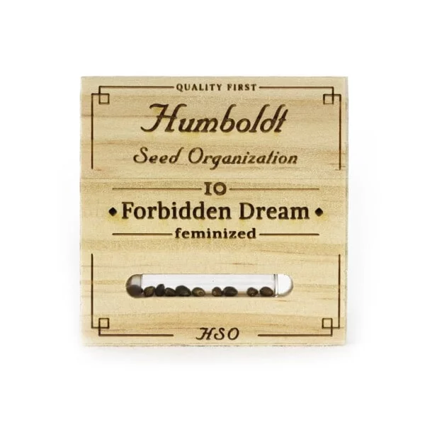 Forbidden Dream Femminizzata Humboldt Seeds 1