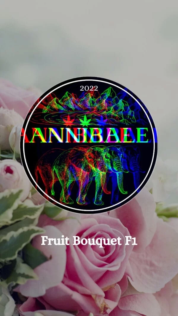 Fruit Bouquet F1 Annibale Genetics (1)