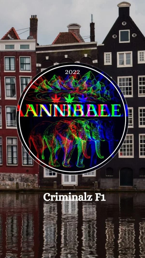 Criminalz F1 - Annibale Genetics