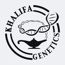 Khalifa Genetics