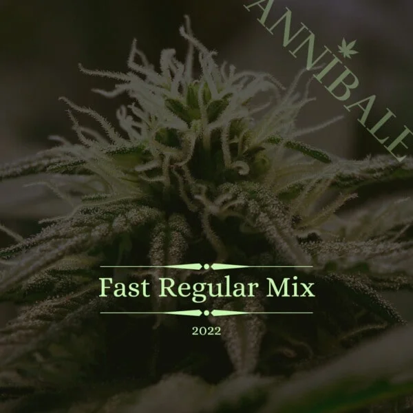 Fast Regular Mix Annibale Genetics