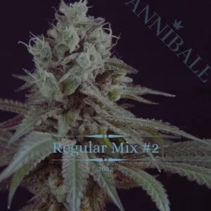 Regular Mix #2 Annibale Genetics