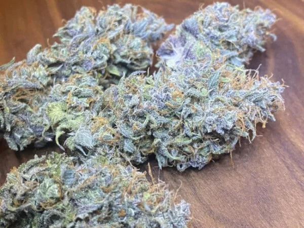 Nepal Jam x Kali China Femminizzata - ACE Seeds - immagine 6