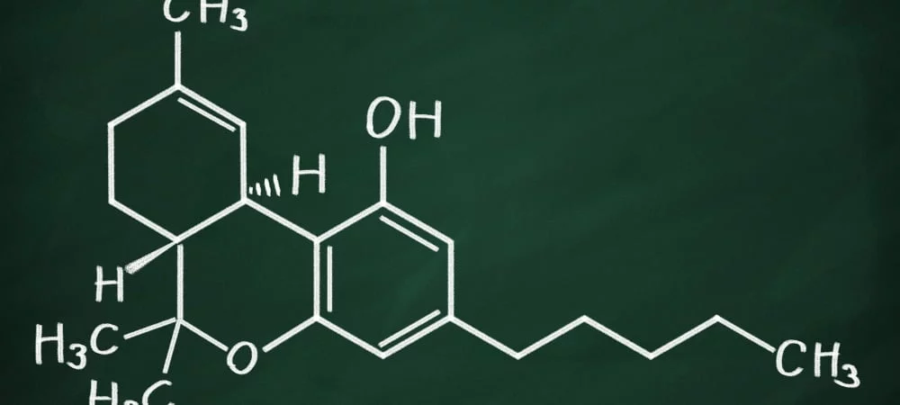 Cannabinoidi: Cosa Sono, Quali Sono ed Effetti Medici Cannabis Cannabinoidi (1)