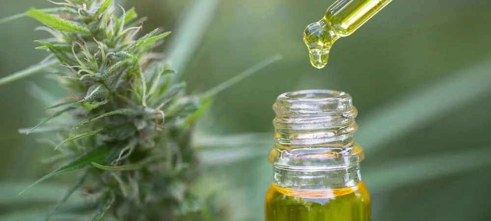 Cannabis Light Cbd Terapeutic Oil