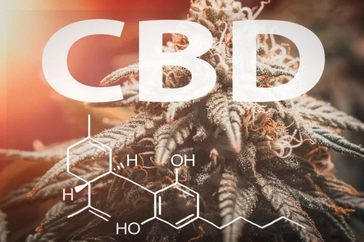 Cbd Cannabidiol