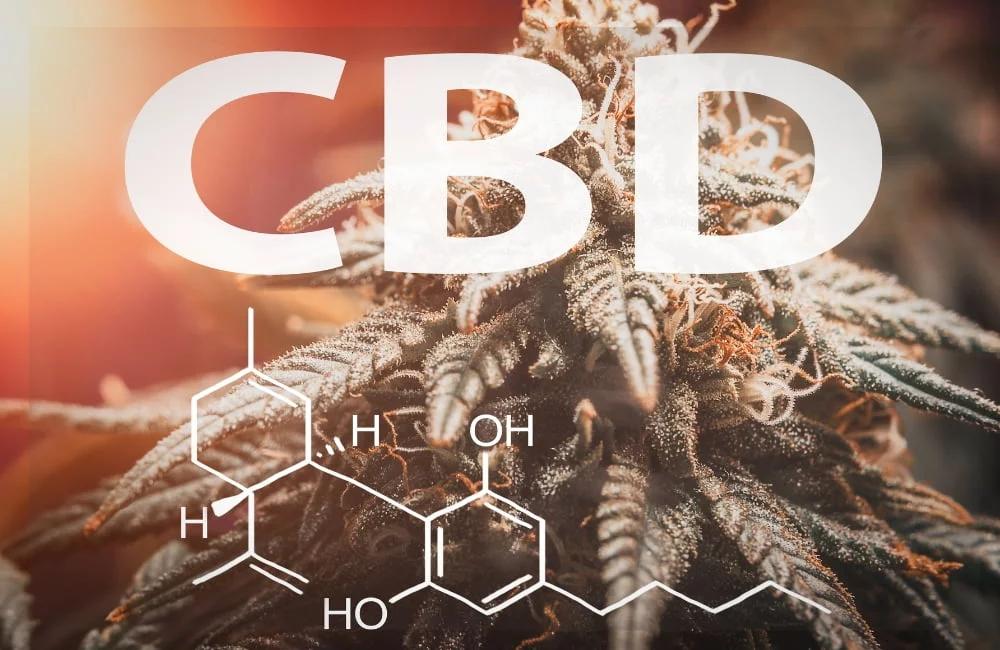 Cbd Cannabidiol