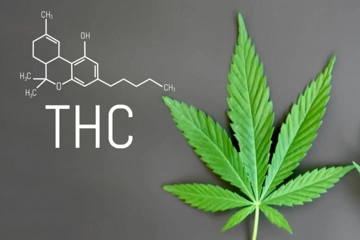 Cos'è Il Thc Della Cannabis=