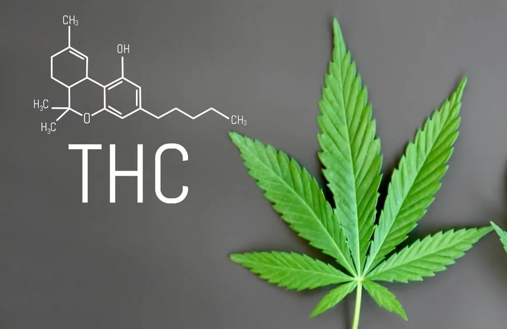 Cos'è Il Thc Della Cannabis=
