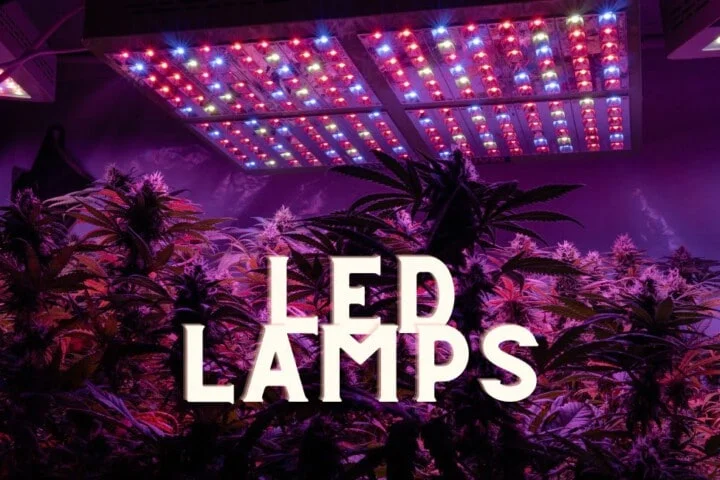 Led Lamps Cannabis Marijuana Weed Indoor Grow