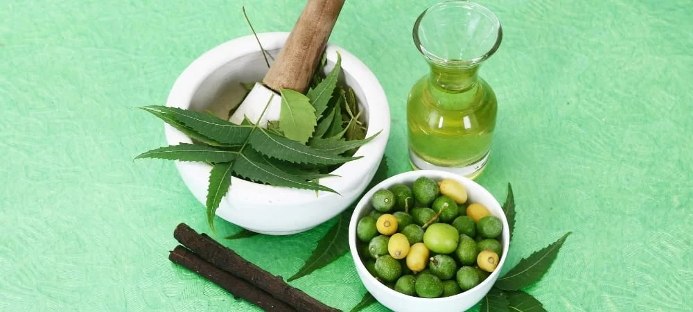 Olio Neem Benefici Pianta Cannabis Erba Marijuana