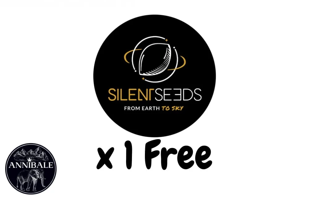 Silent Seeds Free Seeds 2023