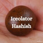Ice O Lator Bubble Hash
