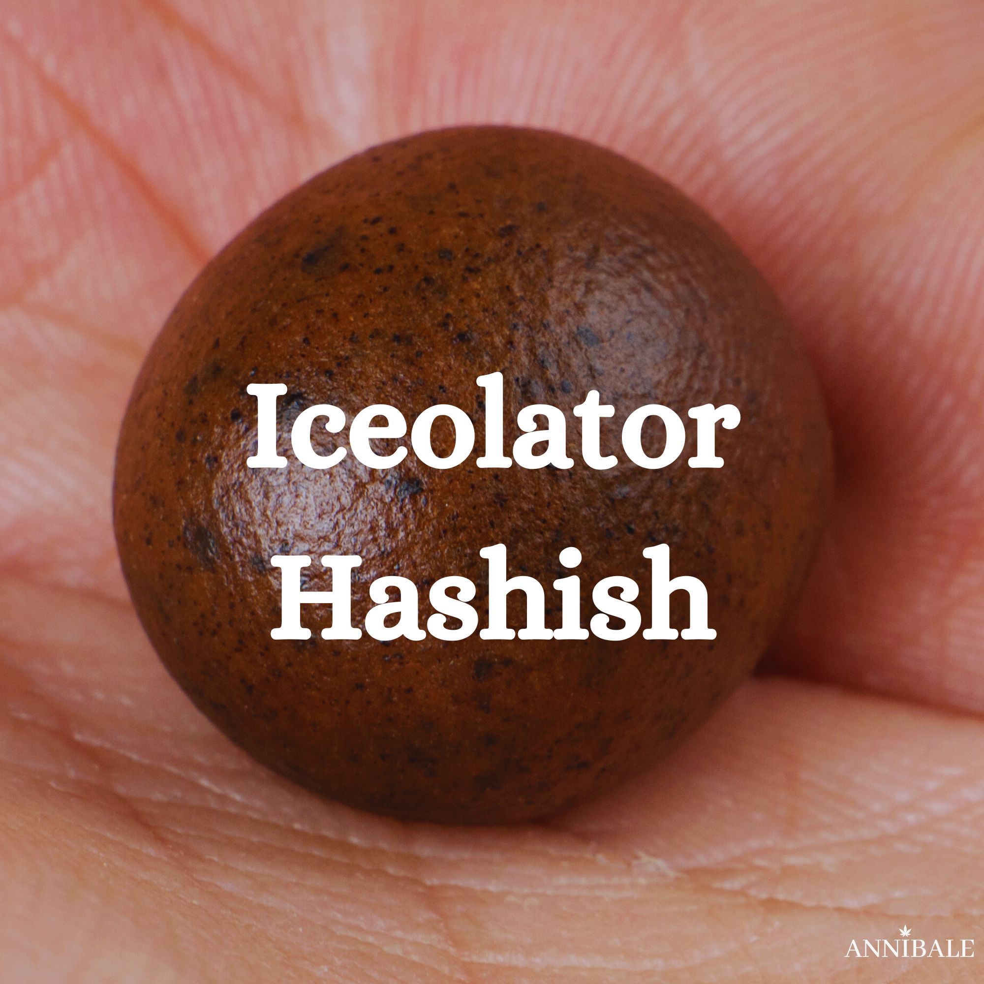 Ice O Lator Bubble Hash