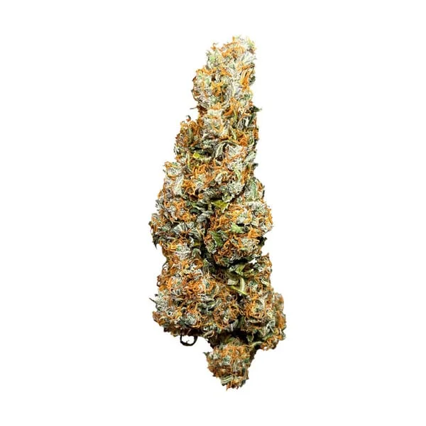 Royal-Queen-Seeds-wedding-cake-autoflowering-Feminized-Cannabis-Seeds-Annibale-Seedshop-1