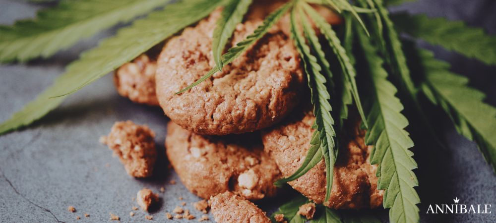 Biscotti Cannabis