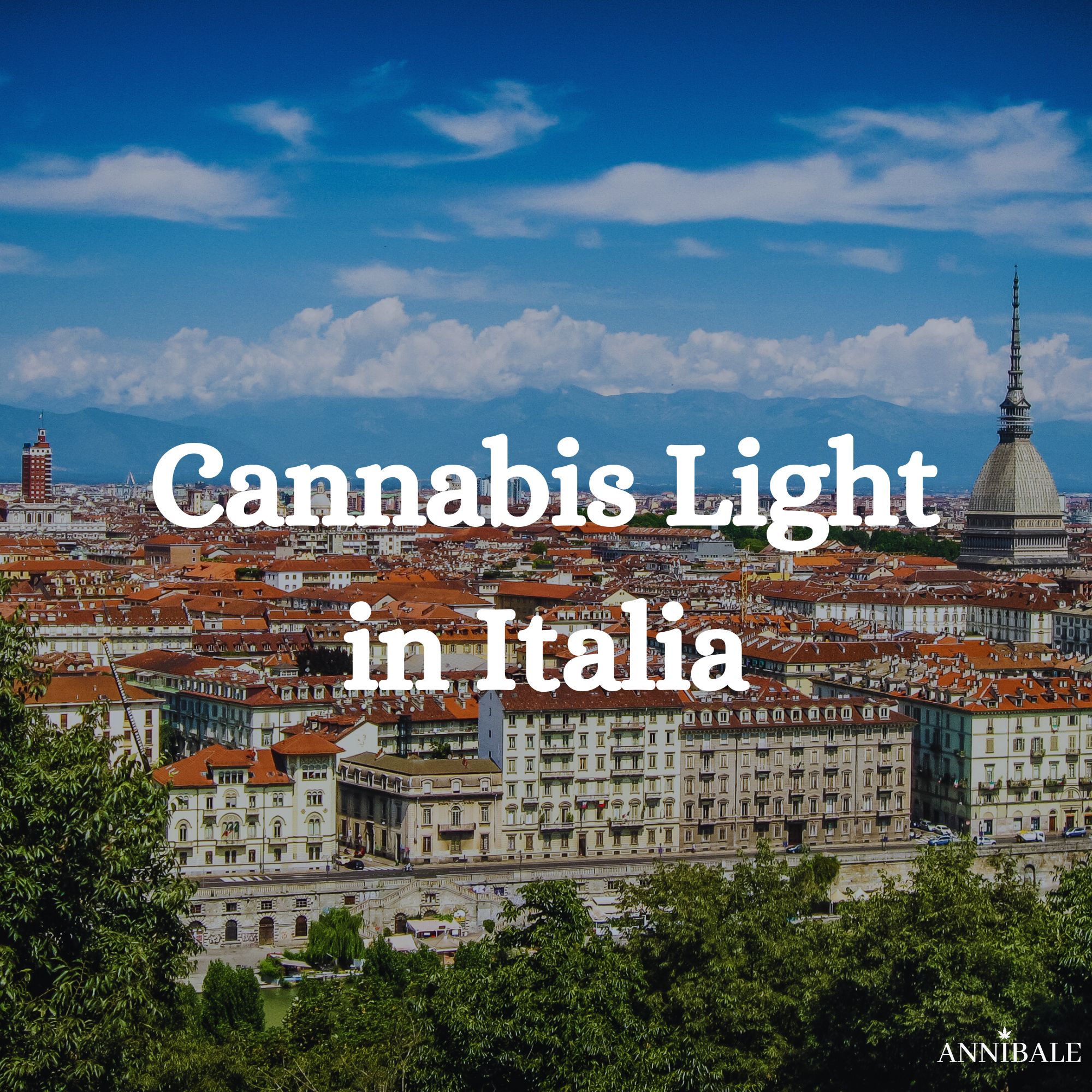 Cannabis Light Italia