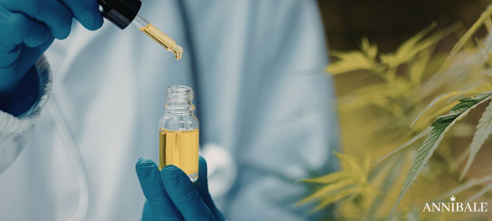 Cbd Cannabis Light Italy