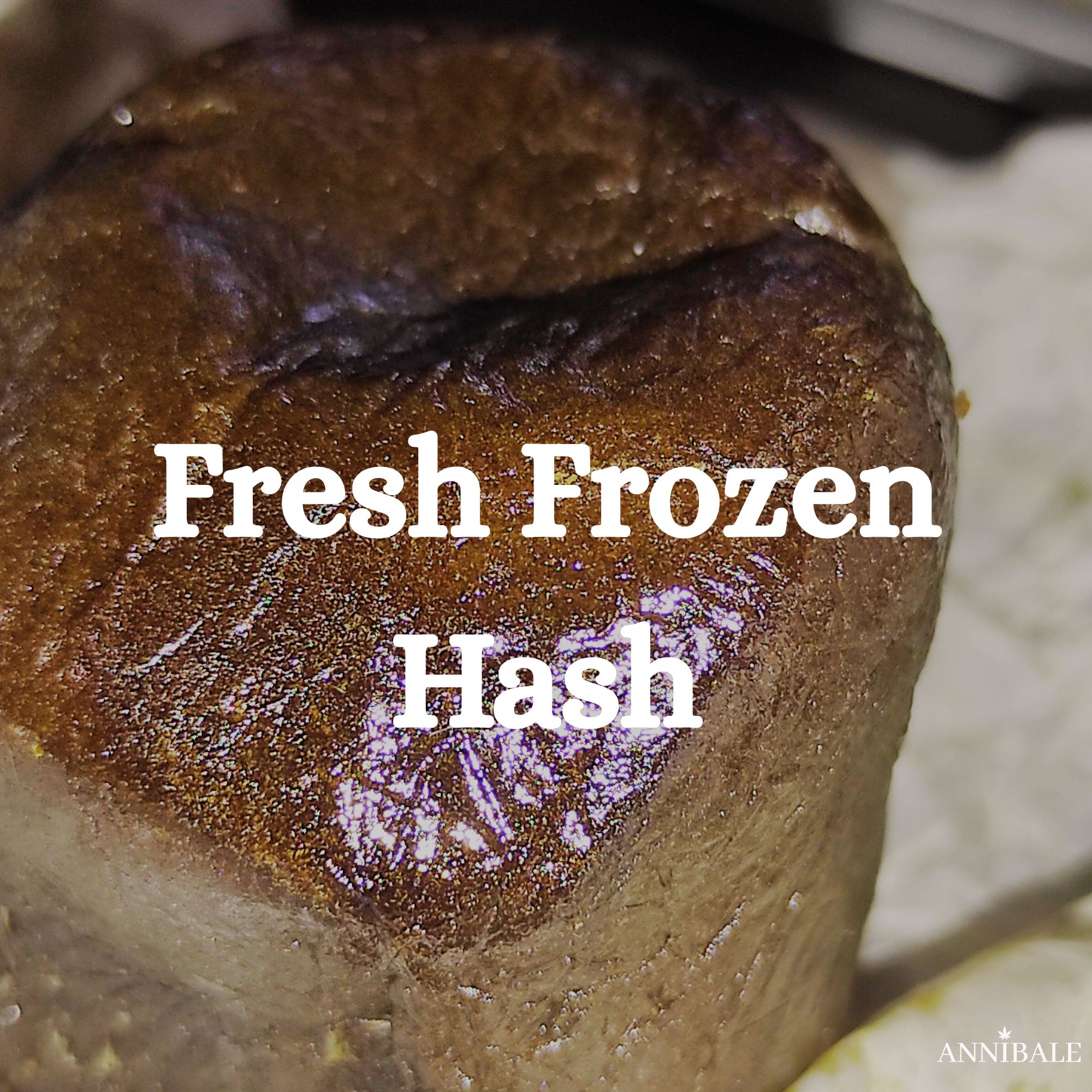 Fresh Frozen Hash Cannabis