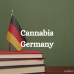 Germany Cannabis today 2026 (1)
