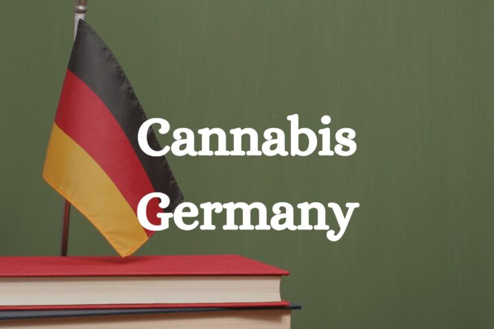 Germany Cannabis today 2026 (1)