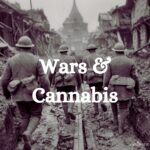 Guerre E Cannabis Nel 2026