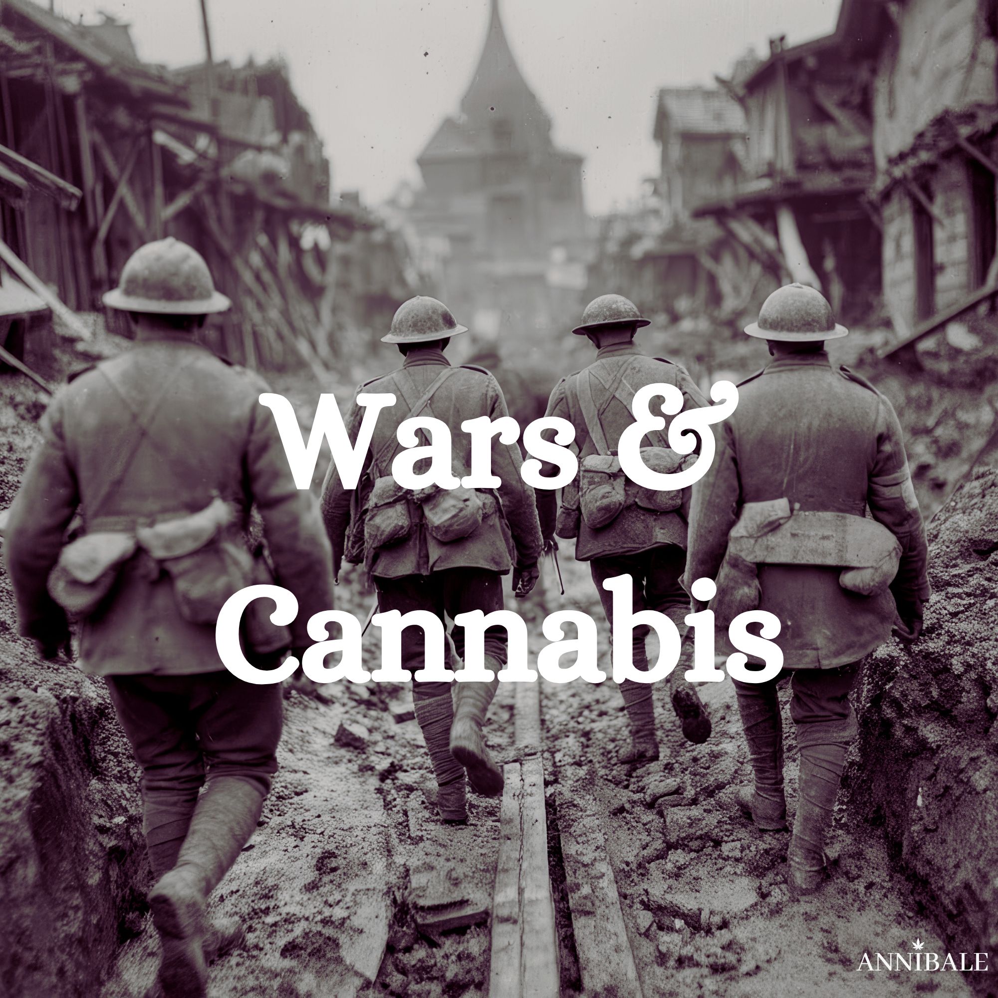 Guerre E Cannabis Nel 2026