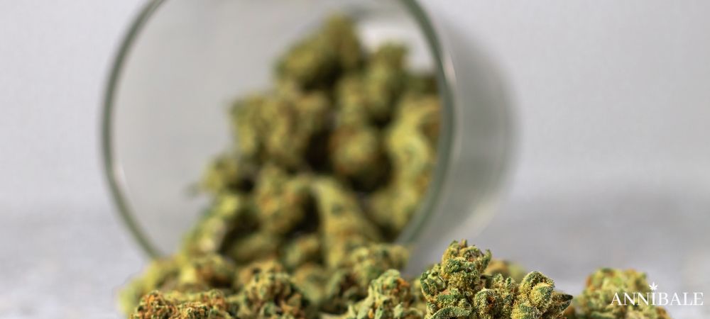 HHC and Semi Synthetic Cannabinoids Hhc Cannabis