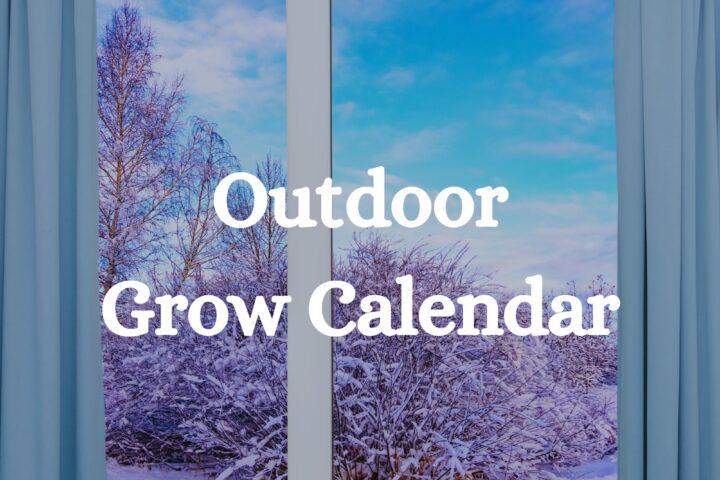 Outdoor Grow Calendar Cannabis