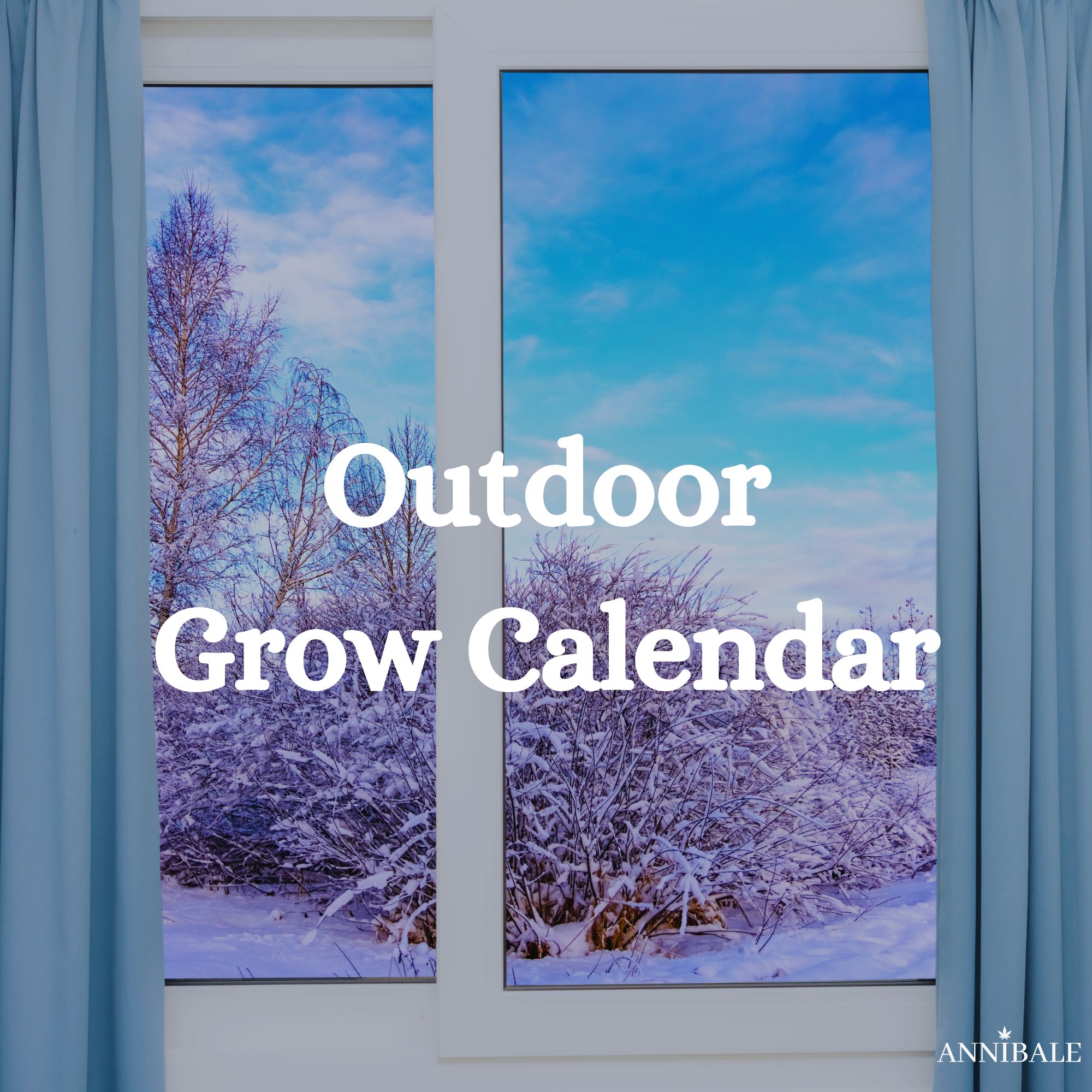 Outdoor Grow Calendar Cannabis